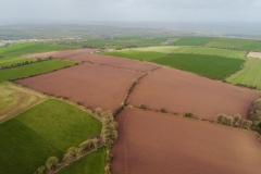 DJI_0039