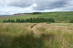 Taur-beg-Newmarket-Co.-Cork.-010