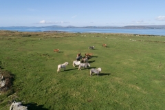 1_DJI_0967