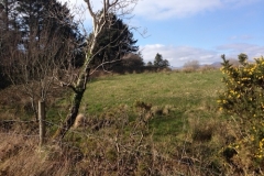 photo 3 (4) site