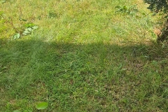 20260805_151338