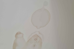 2_20260916_142003