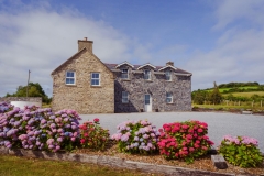 Curragh019