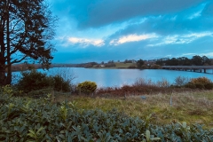 Leeview-13