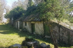 IMG-20210415-WA0007